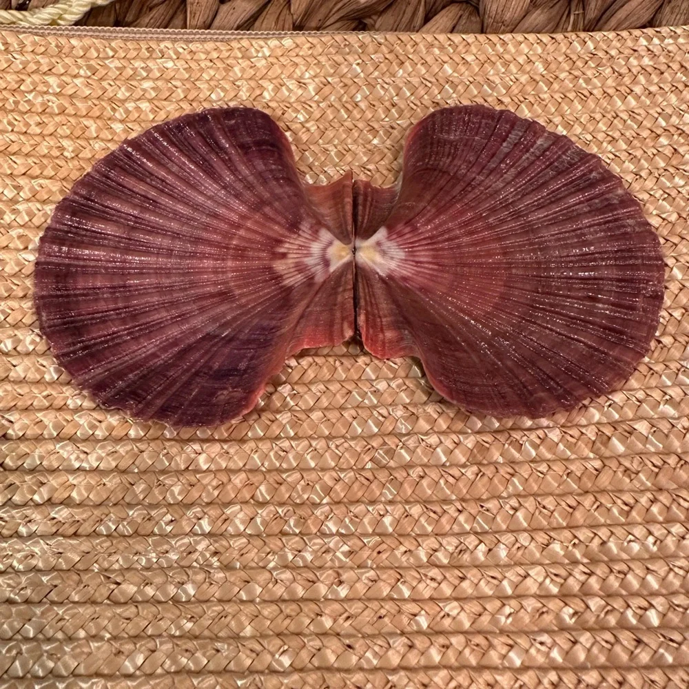 Vtg Shell and Straw Purse - Picture 2 of 7